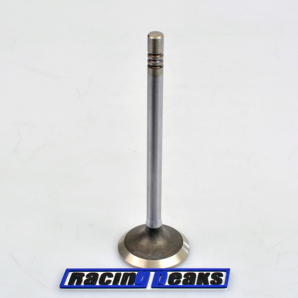 Intake Valve fits BMW 324d 324td 524d 524td 2.4 M21D24 1980-1993