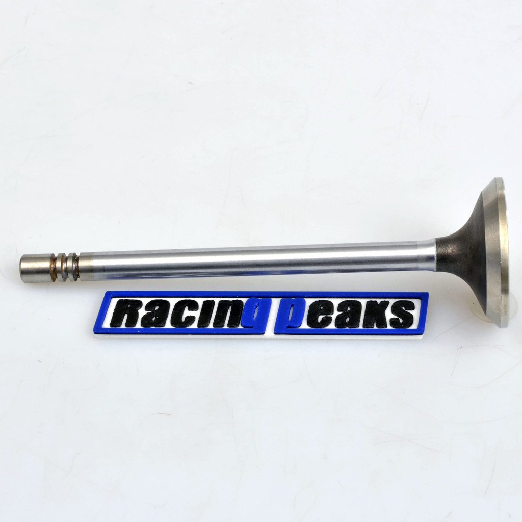 Intake Valve fits BMW 324d 324td 524d 524td 2.4 M21D24 1980-1993