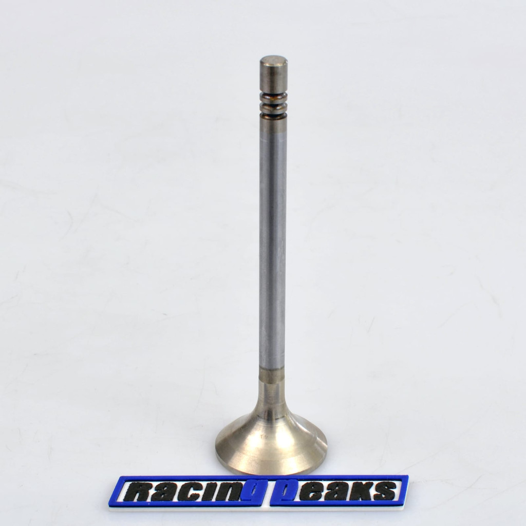 Exhaust Valve fits BMW 324d 324td 524d 524td 2.4 M21D24 1980-1993