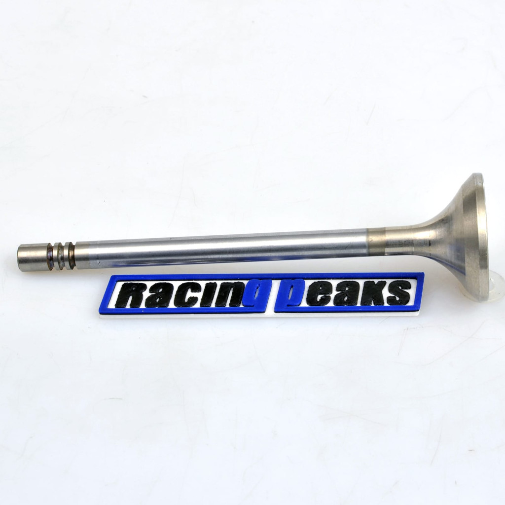 Exhaust Valve fits BMW 324d 324td 524d 524td 2.4 M21D24 1980-1993