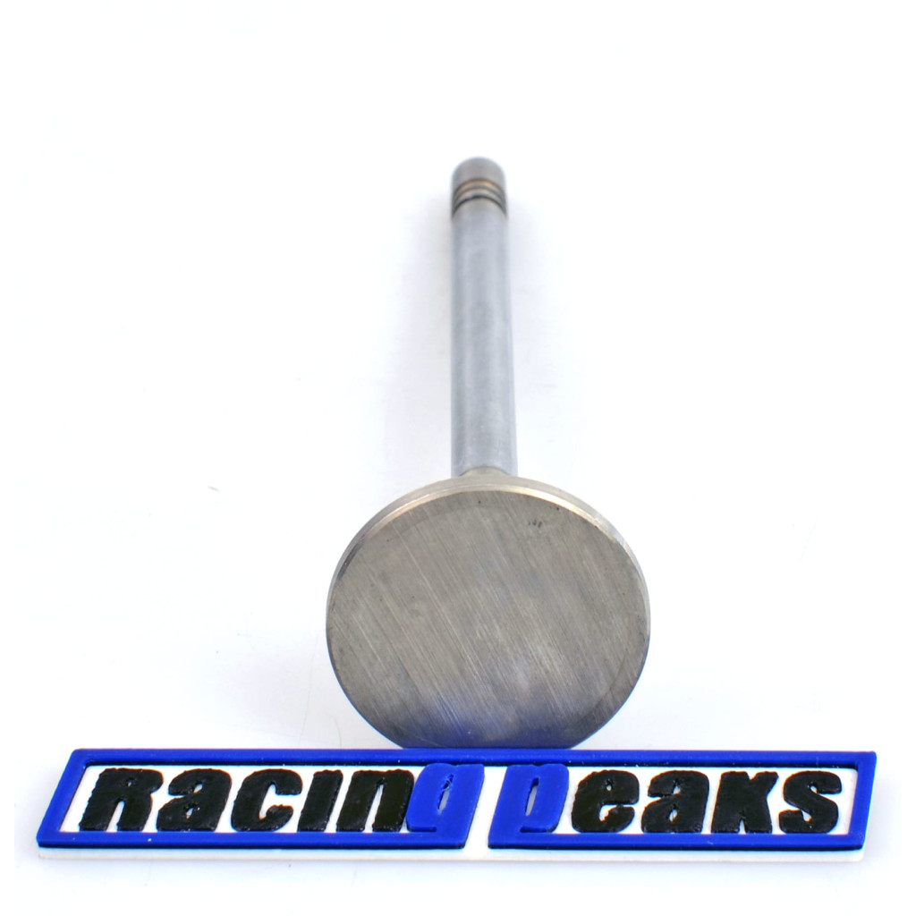 Exhaust Valve fits BMW 324d 324td 524d 524td 2.4 M21D24 1980-1993
