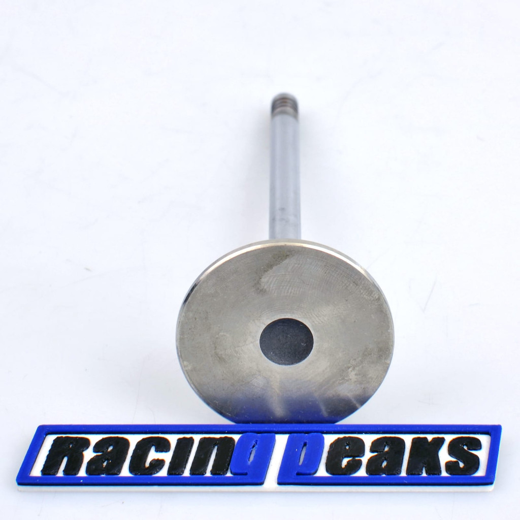 Intake Valve fits BMW 318tds 1.7 M41D17 174T1 1995-2000