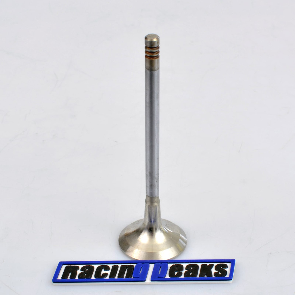 Exhaust Valve fits BMW 325tds 525td 525tds Land Rover Range Rover 2.5 M51D25 256T