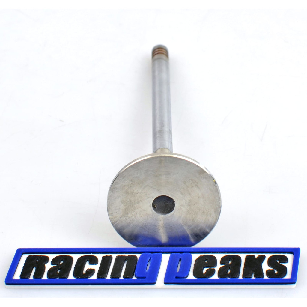 Exhaust Valve fits BMW 325tds 525td 525tds Land Rover Range Rover 2.5 M51D25 256T