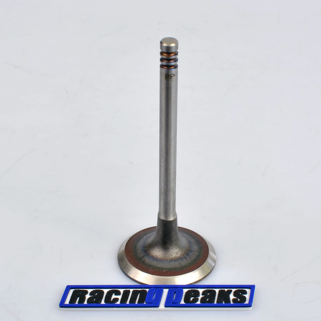 Intake Valve fits BMW 325i 525i Z1 2.5 M20B25 1983-1993