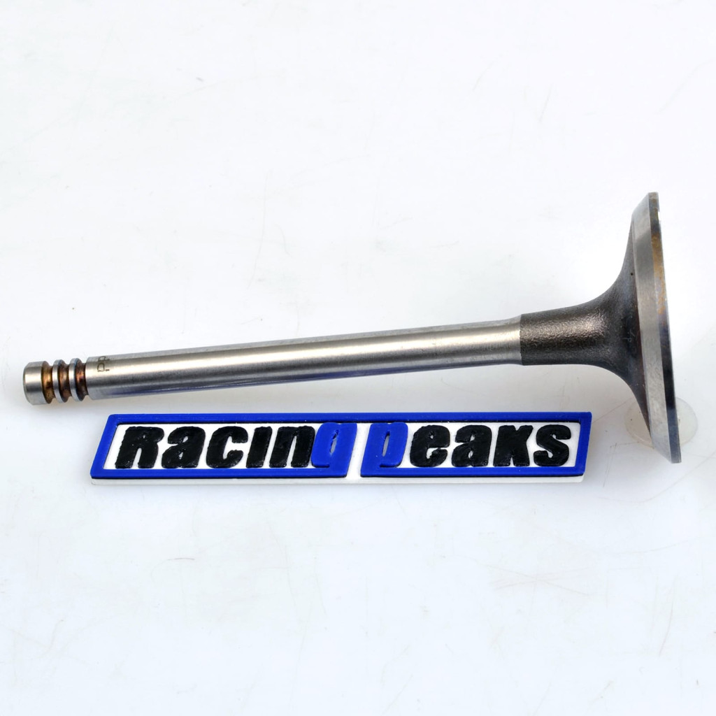 Intake Valve fits BMW 325i 525i Z1 2.5 M20B25 1983-1993