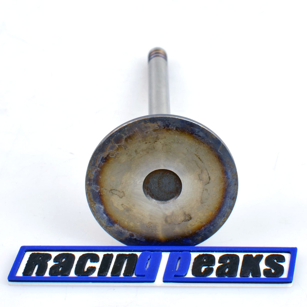Intake Valve fits BMW 325i 525i Z1 2.5 M20B25 1983-1993