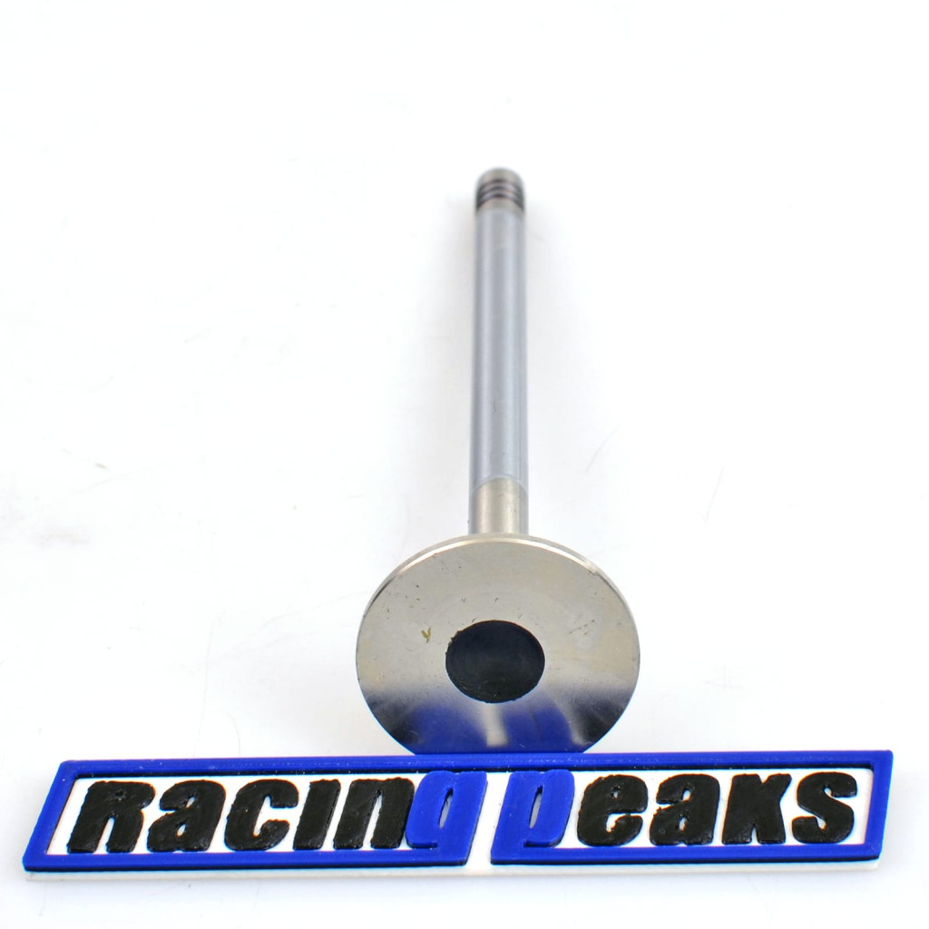 Intake Valve fits BMW 325d 330d 335d 525d 530d 535d 730d X3 X5 3.0 M57D30 M57D25